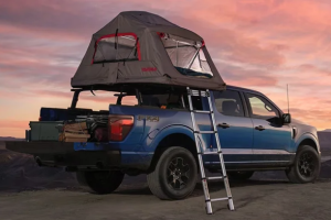 25 ford f150 in burlington, wi