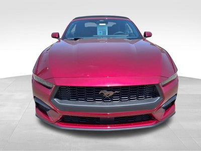 2025 Ford Mustang EcoBoost Premium